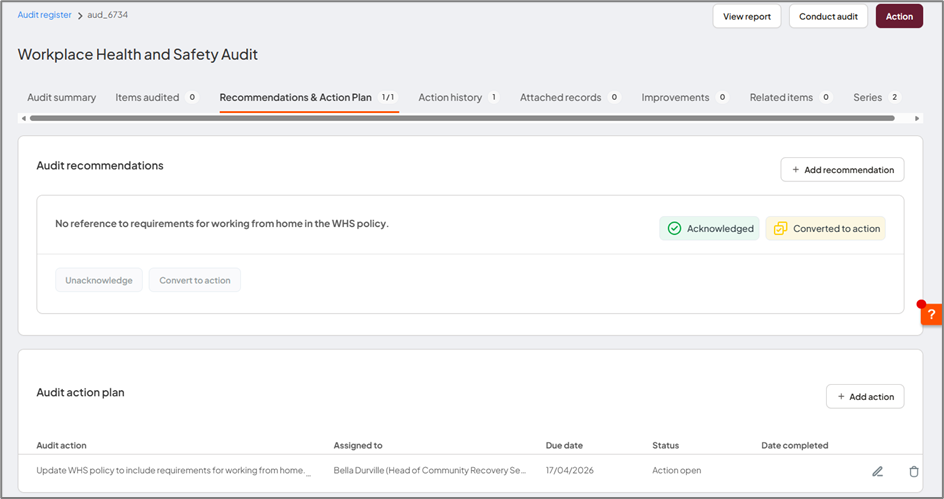 Recommendations and Action Plan tab showing recommendations and follow-up actions